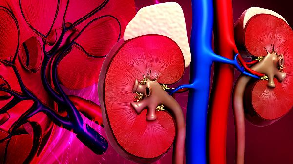 肾小球滤过率66ml/min严重吗