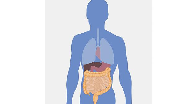 如何改善老年人肠道消化 4招提高老年人肠道健康