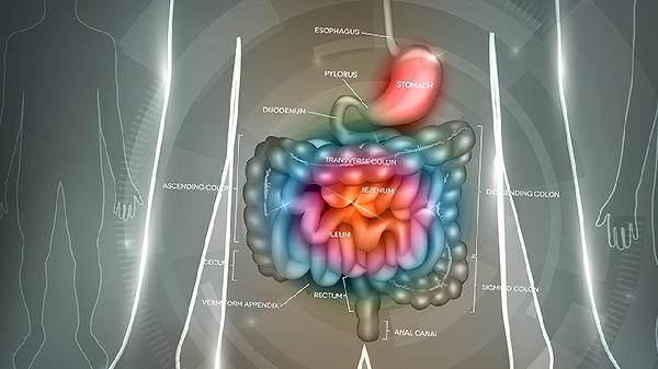 腸積氣是什么引起的 腸積氣的幾個引發(fā)原因細說