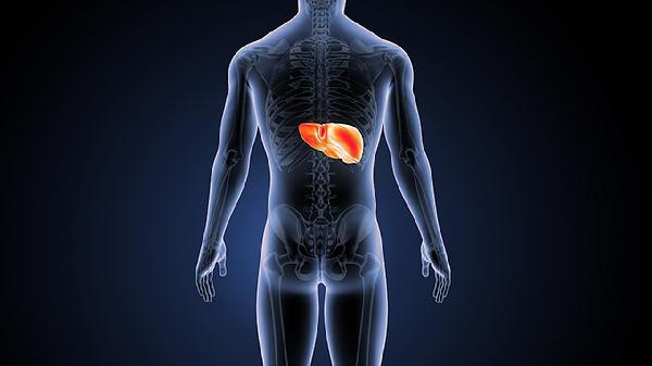 肝气不足的原因有哪些 揭晓诱发肝气不足的几个因素