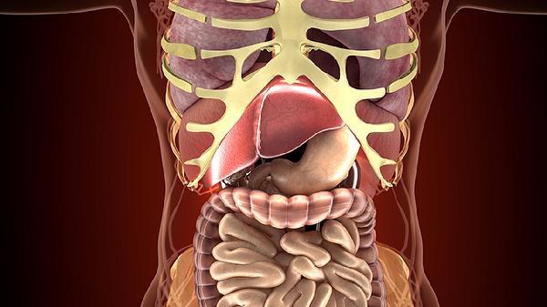 灶性活动性肠化是什么意思