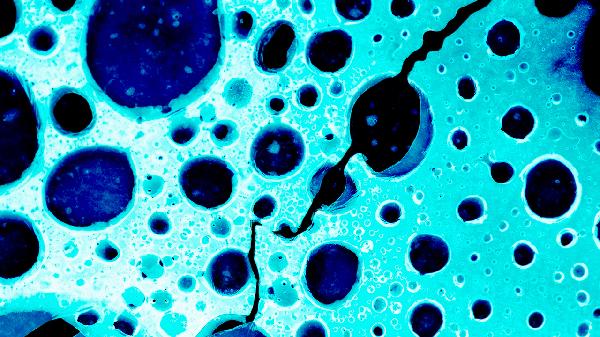 依替米星治疗流感病毒感染吗