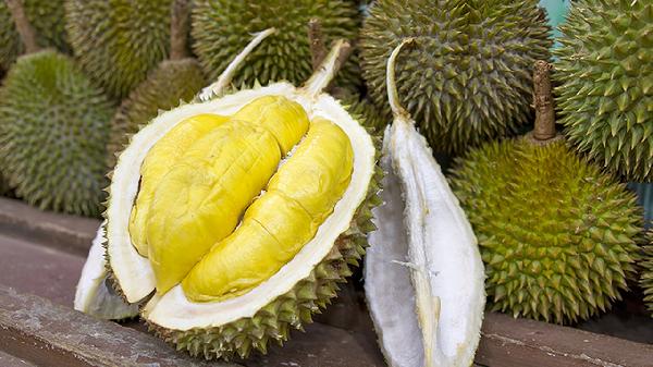 10个月宝宝能不能吃榴莲