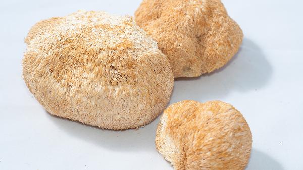 肺結(jié)節(jié)不適合吃的食物有哪些