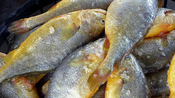 海鲜怎么去腥味最有效的方法