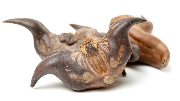 菱角是先煮再剥还是先剥再煮