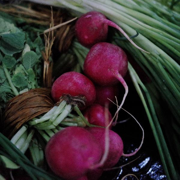 塑料菜板脏了怎么洗干净呢