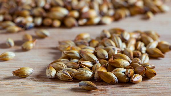 麦芽糖浆对人体的危害