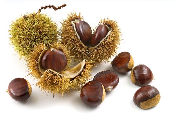 栗子不好剥皮有什么好办法