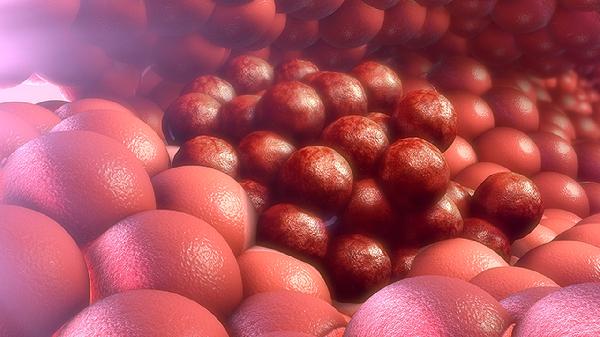 病毒性腹泻一般拉多久