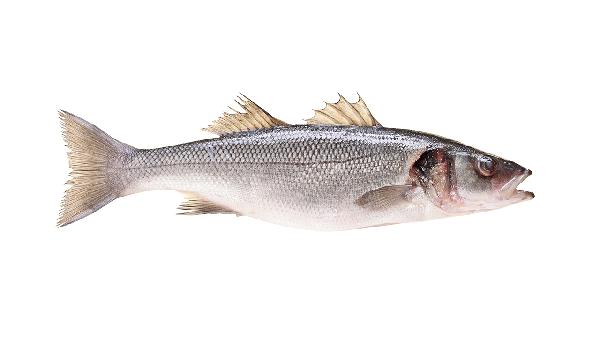 什么季节是吃海鲜的最佳时间