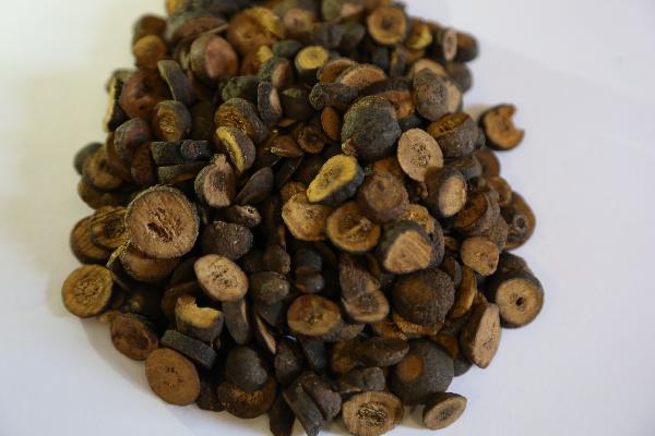 百蕊草和什么中药冲突