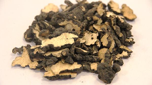 大剂量猪苓汤治愈尿痛医案 涂华新猪苓汤医案