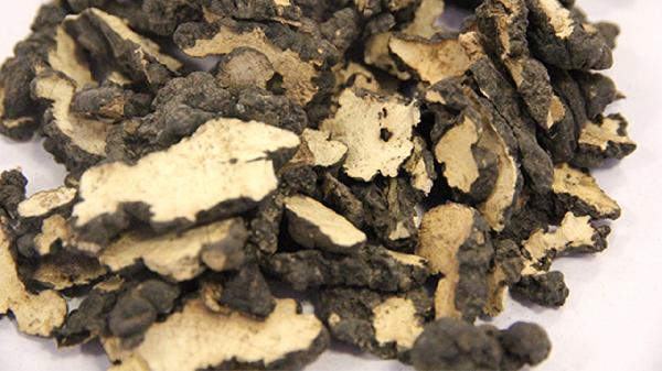 大剂量猪苓汤治愈尿痛医案 涂华新猪苓汤医案
