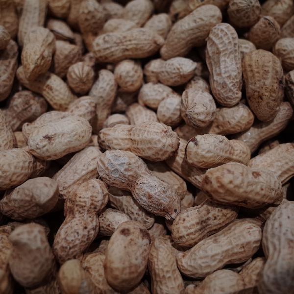 熟花生怎么保存不变味