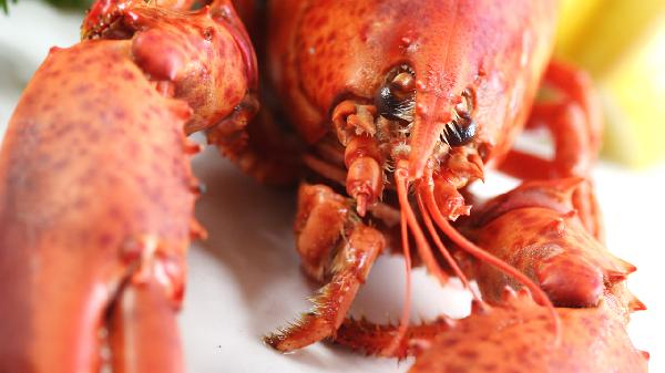 男人吃海鲜有什么好处