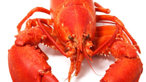 碱性食物不容易胖吗