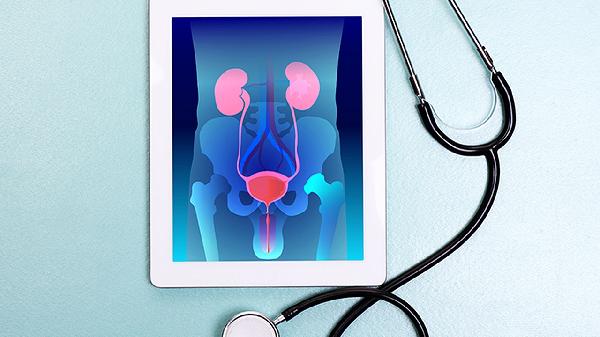 补肾是为了干什么