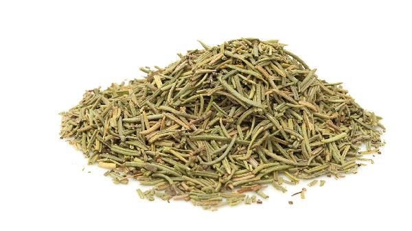 接骨木是什么 接骨木是什么植物