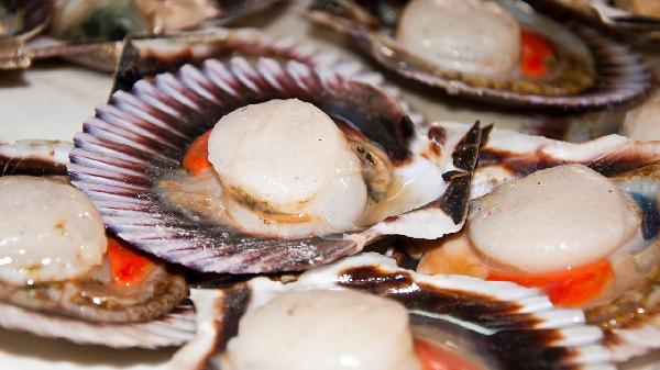 吃哪些食物容易长斑