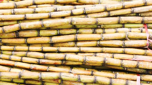 微波炉不能热哪些食物