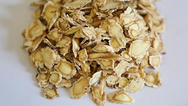 桔梗祛痰作用的特点