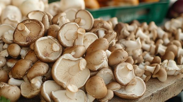 菌菇类吃多了会怎样