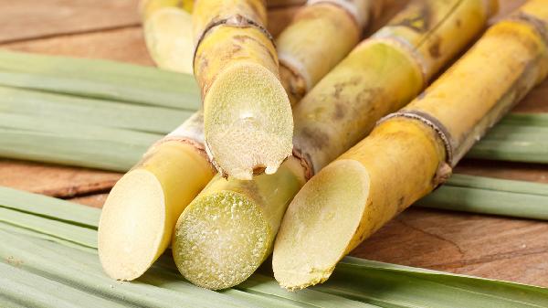 这三种食物要多吃