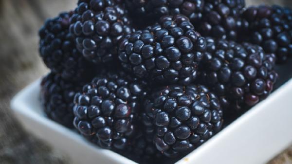 这些食物不能多吃