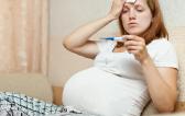 孕婦能不能喝黨參雞湯
