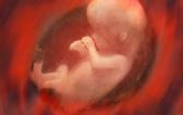 托腹帶不利于胎兒入盆