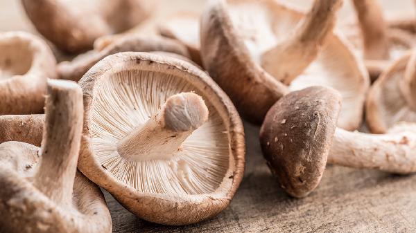 香菇冷藏可以放几天