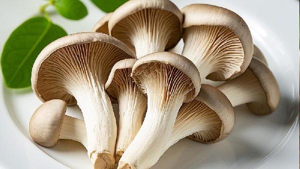 干蘑菇存放6年了还能吃吗