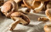 干香菇的保存方法