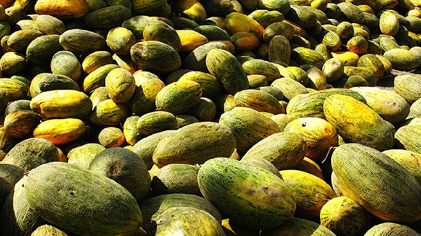 哈密瓜吃多了上火吗