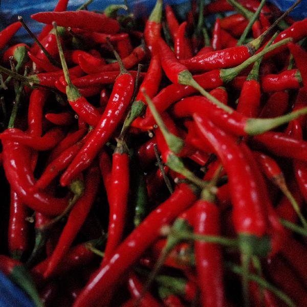 什么辣椒炒菜比较辣