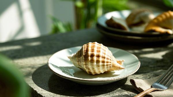 海螺肉煮多久能熟