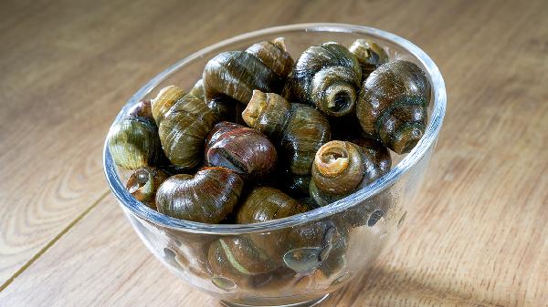 去壳田螺肉怎么清理干净