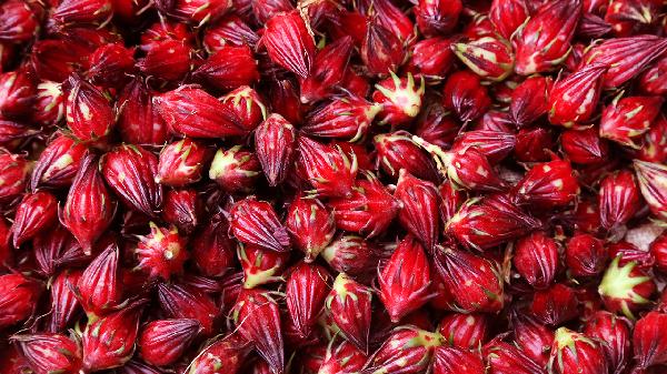 玫瑰花茶能保存多久