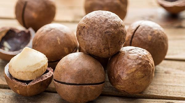 儿童吃夏威夷果好吗