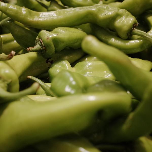 餐厅里的剩饭菜如何处理