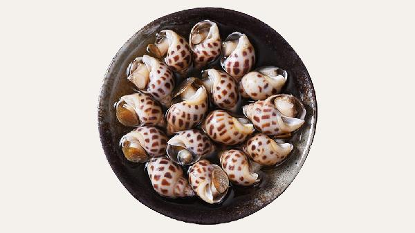 花螺什么季节吃最好