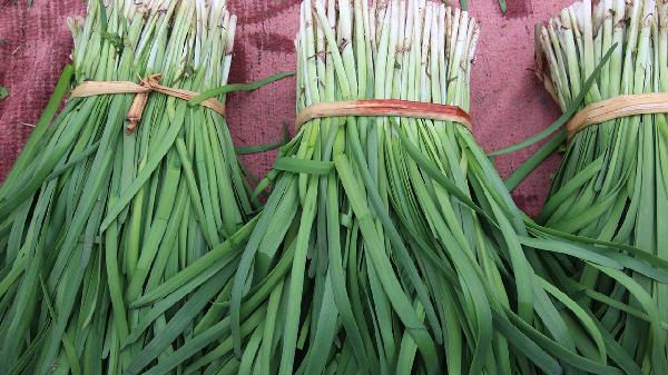 韭菜保存一个月的方法