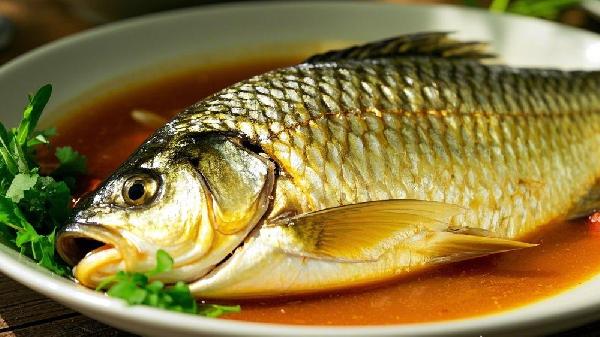 三月份小草鱼能进食吗?