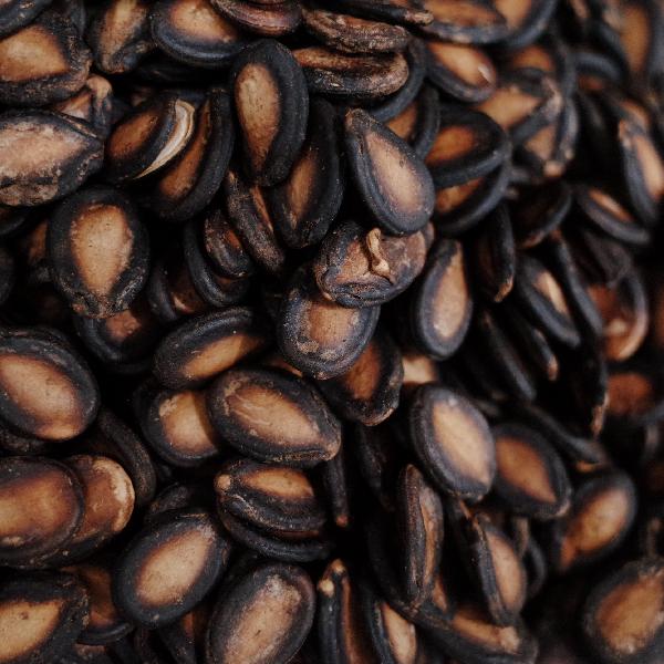 坚果为什么会生虫子