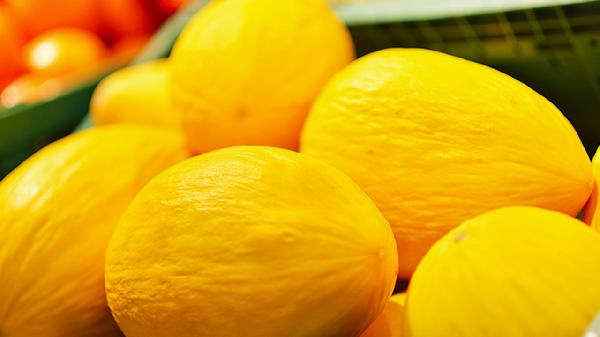 哈密瓜为什么这么甜