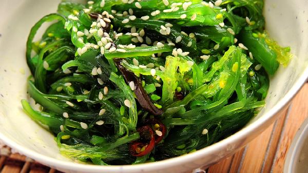 凉菜中的龙须菜是什么植物