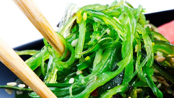 龙须菜是什么东西