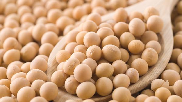 500克黄豆加多少水做豆浆