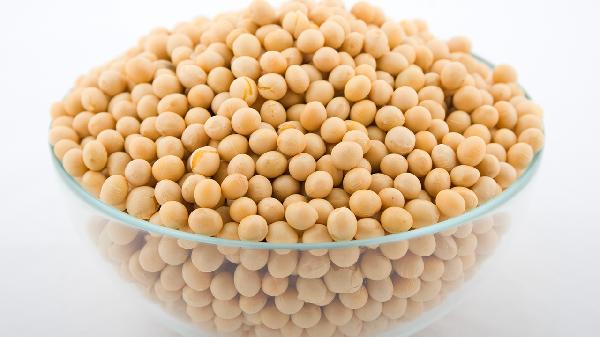 500克黄豆加多少水做豆腐脑